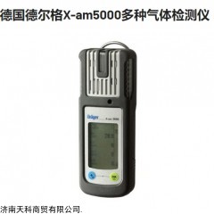 城市燃?xì)庥盟臍溧绶詽舛葯z測儀德爾格X-AM5000