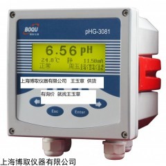 PHG-3081工业PH计--采购就找上海王玉章