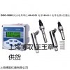 山东锅炉水电导率DDG-3080找上海王玉章